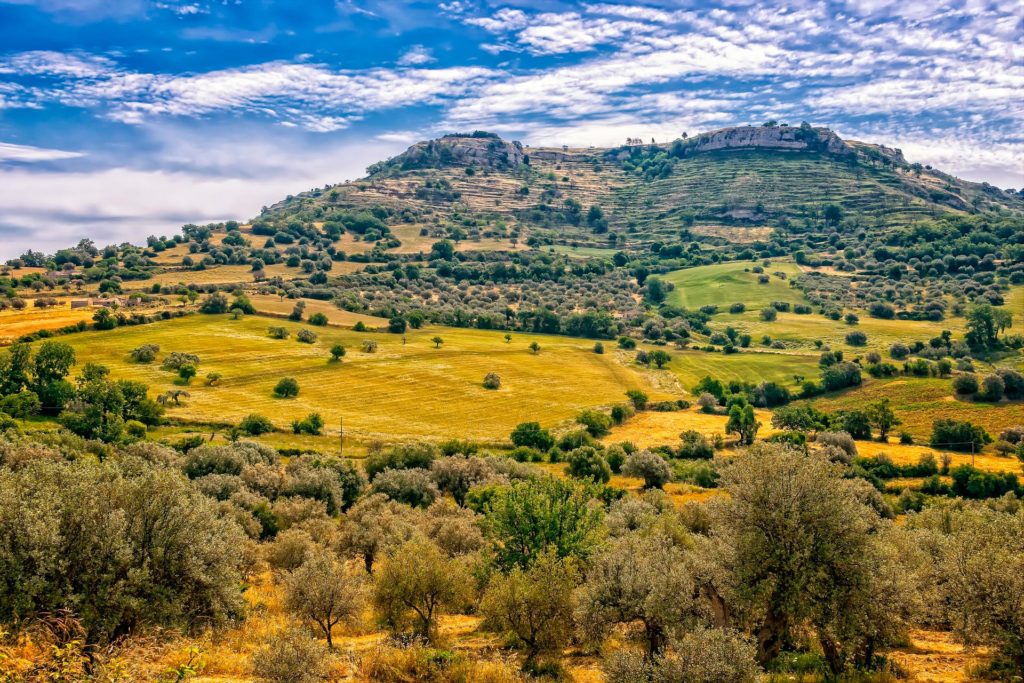 Read more about the article The sustainable Olive Olil in Cazorla, a landscape monument