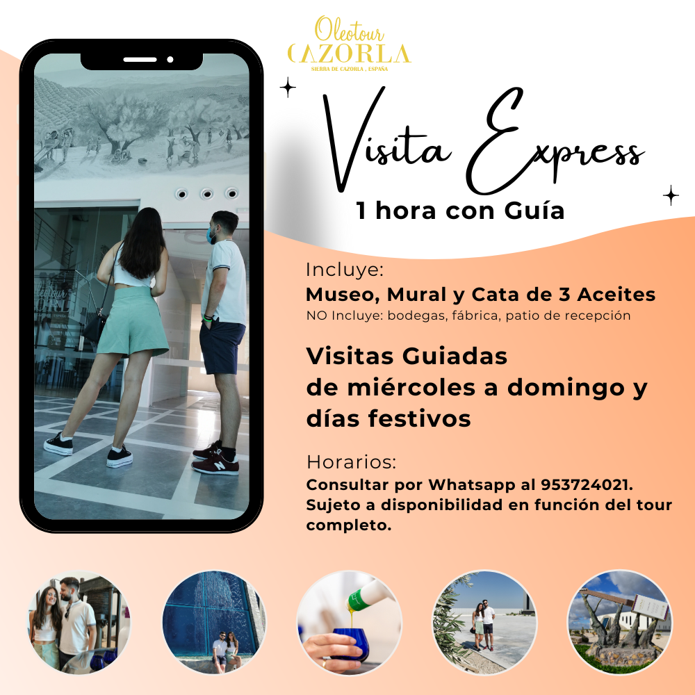 Visita Express 1 hora con Guía Oleotour Cazorla en Español/French/English